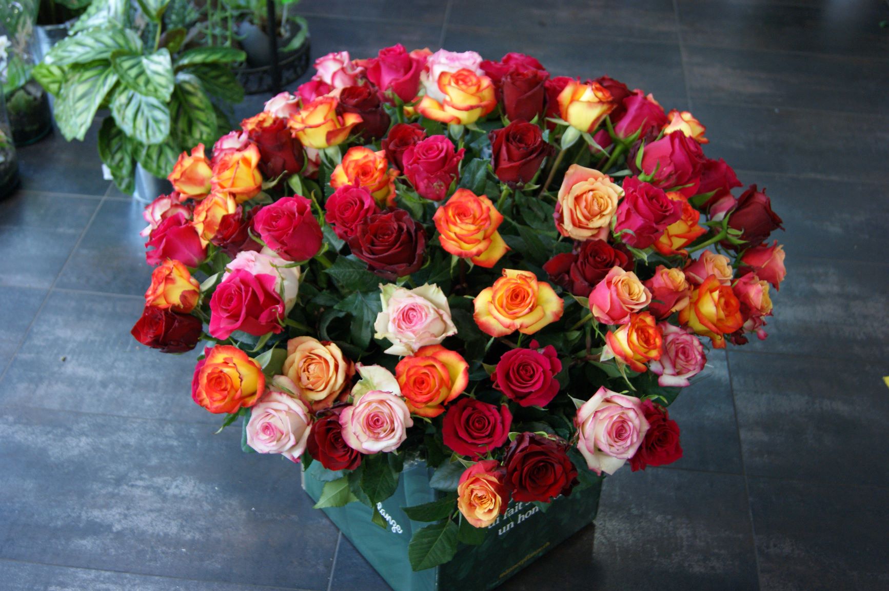 Bouquet de 100 roses N° 7